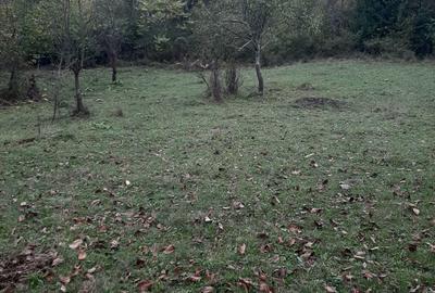 Teren de 4100 mp, în Rușavăț - 3