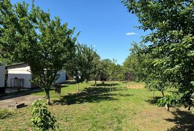 Casă individuală cu 3 camere cu Teren 1250 Mp în Prunaru - 7