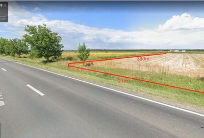 Teren de 8016 mp, în Nucet - 6