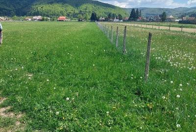 Teren de 2630 mp, în Vama Buzăului - 2