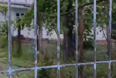 Casă cu 2 camere cu Teren 1500 Mp în Miorcani - 1