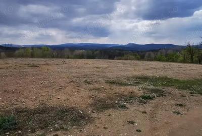 Teren investitie dezvoltator imobiliar km 7 Calea Caransebesului 11 euro negociabil - 5