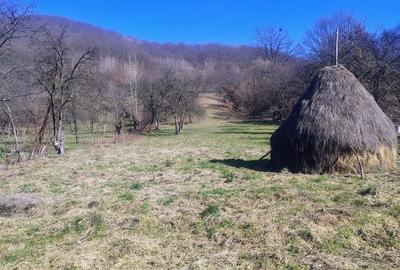 Casă cu 4 camere în Bârsana - 6