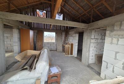 Caciulati, vanzare casa 3 camere la rosu, 1.000mp teren - 15