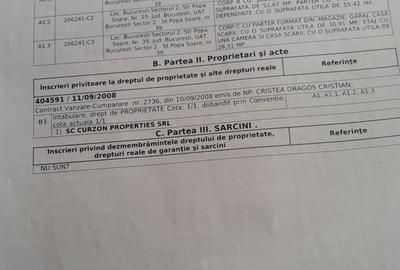 Proprietara - 1