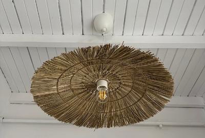 Studio Luminos Fortunei - 5