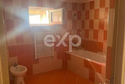 Casă cu 6 camere cu Teren 3646 Mp în Leontinești - 8