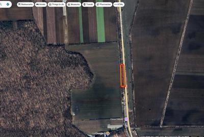 Teren extravilan de 1400 mp, în Butimanu - 2