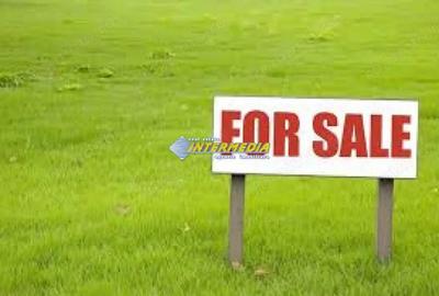 Teren de 453 mp, în Cetate