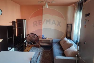 Apartament spatios cu 2 camere de inchiriat in Manastur - 3