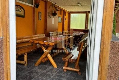 Pensiune Busteni zona Camil Petrescu - 38