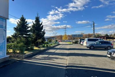 Spațiu comercial, de 1,433 mp, în Satu Nou de Jos - 13