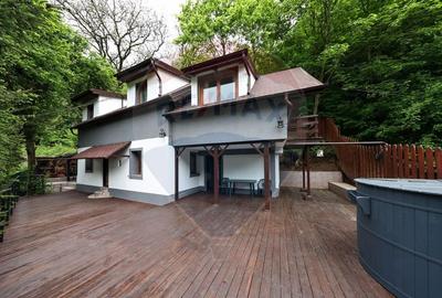 Casa/ Vila de poveste de vanzare in Schei- Businnes la cheie - 20