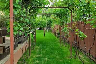 BOLDESTI-SCAENI: Casa individuala cu teren total de 885 mp ! BOLDESTI-SCAENI: Casa individuala cu teren total de 885 mp ! - 3