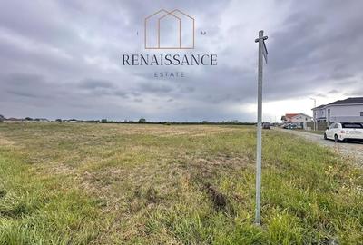 Mosnita Noua Teren 10.000mp | Front 63m | La asfalt - Zona de Case - 6