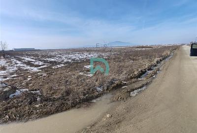 Vanzare teren intravila industrial, 10480 mp, centura Brasov - 2