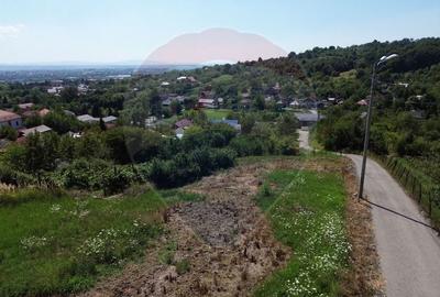 OCAZIE! Teren IEFTIN de vanzare in Baia Mare, pe Valea Borcutului