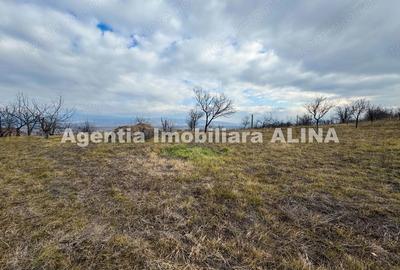 Teren în Călugareni - 12