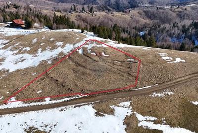 Teren de 1924 mp, în Șirnea - 6