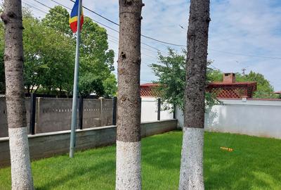 Afumați IF - casă/vilă mare cu teren, cu 8 dormitoare și 7 băi, amplasată pe DN2 - 12