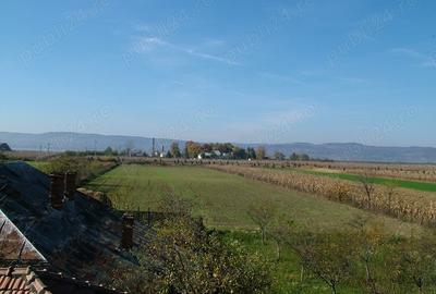 Teren de 8000 mp, în Drăgoești - 6