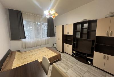 Garsoniera Calea Lipovei - 2