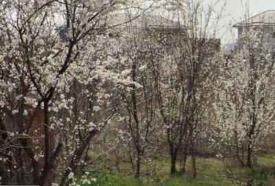 Teren Construcții intravilan de 2000 mp, în Ferentari - 2