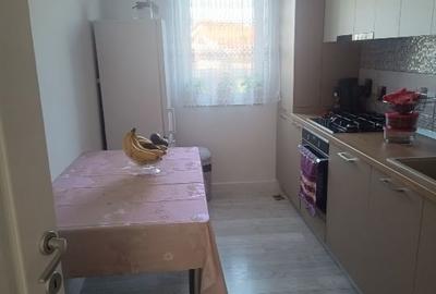 Apartament cu 2 camere decomandat, mobilat în Giroc - 4