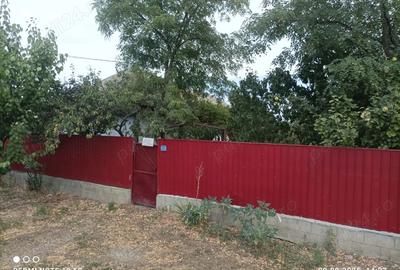 Casa batraneasca Chilia Veche - 5