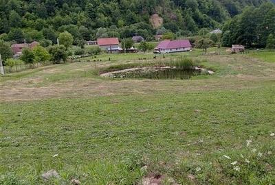 Reco Teren Intravilan Bulz cu Lac si o priveliste deosebita Reco Teren Intravilan Bulz cu Lac si o priveliste deosebita - 4