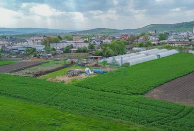 Teren de vanzare in Apahida - 4