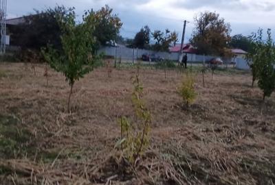 Teren intravilan in comuna Cîrligele jud Vrancea cu suprafață de 750mp - 3
