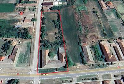 Casă cu 8 camere cu Teren 1250 Mp în Cenad - 6