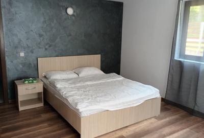 Vanzare cabană Valea Doftanei, izolata, libera, fosta in circuit, ingrijita - 8