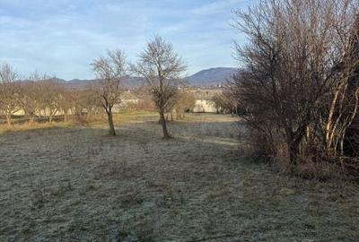 Casă cu 3 camere în Satu Nou de Jos - 14