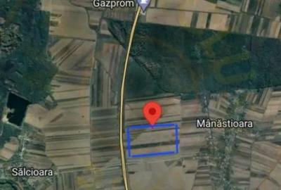 Teren de 240000 mp, în Mânăstioara - 6