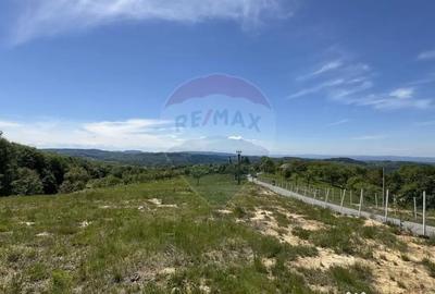 Teren de 55600 mp, în Codru Butesii - 15