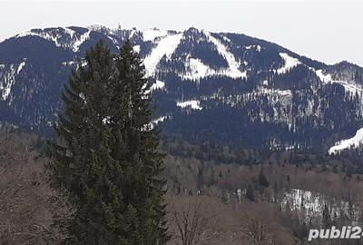 Teren de 1713 mp, în Poiana Brașov - 2