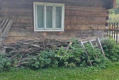 Casă cu 2 camere cu Teren 80 Mp în Poienile de sub Munte - 3