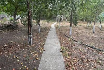 Casă cu 3 camere cu Teren 1930 Mp în Cojești - 9