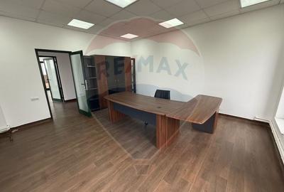 Proprietate specială, de 430,000 mp, în Adunații-Copăceni - 29