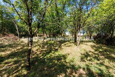 Casa pe un singur nivel si teren intravilan 2016 mp in Satul Cristur, Jud. HD... - 2