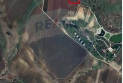 Teren 5,000mp Vorovesti / None - 3