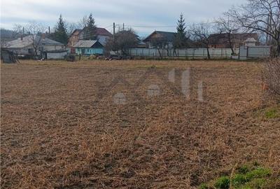 Teren de 3500 mp, în Bârnova - 4