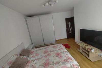 Apartament cu 2 camere decomandat în Turnișor - 7