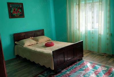 Vand casa mare cu livada, vie, gradina in Fratostita - 2