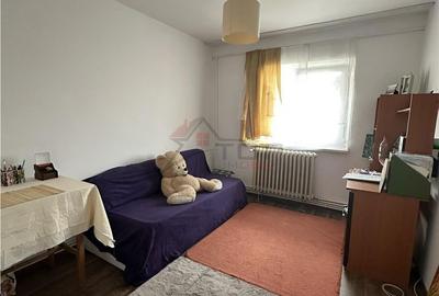 Apartament cu 3 camere decomandat în Frumoasa - 2