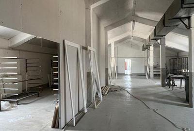 Spațiu comercial, de 700 mp, în Aradul Nou - 10