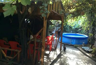 Vand casa centrul istoric - 2