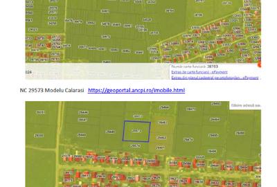 Teren agricol extravilan de 132658 mp, în Modelu - 13